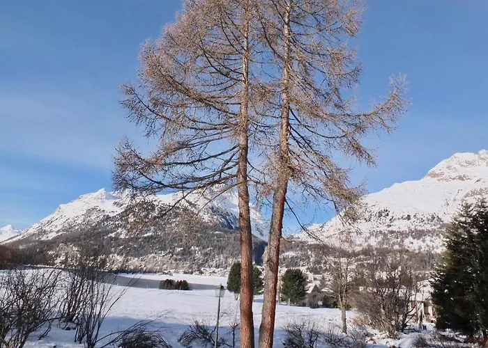 San Gian C5 Apartment *