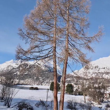 San Gian C5 דירה *